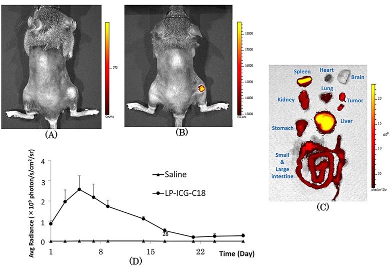 Fig 4