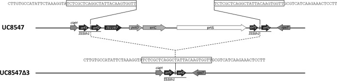 FIG 6