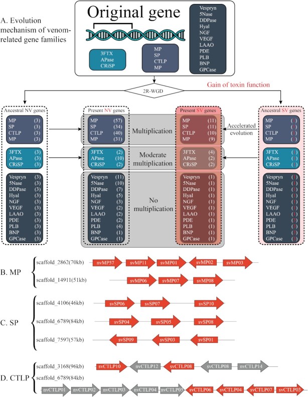 Figure 3: