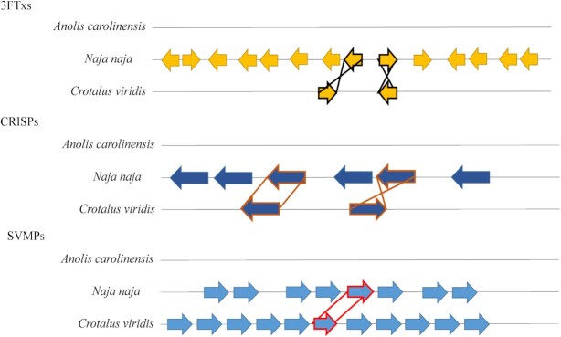 Figure 4: