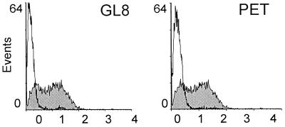 FIG. 7