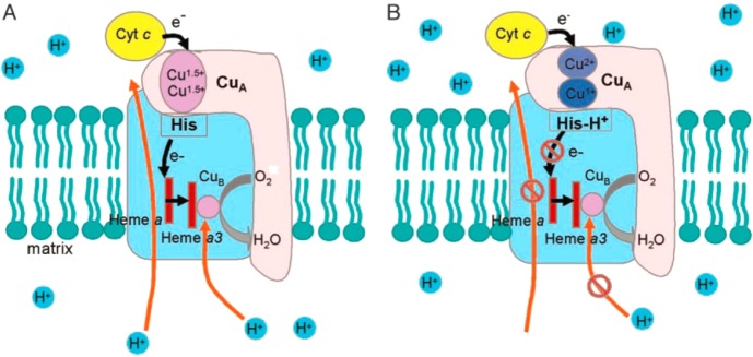 Figure 63