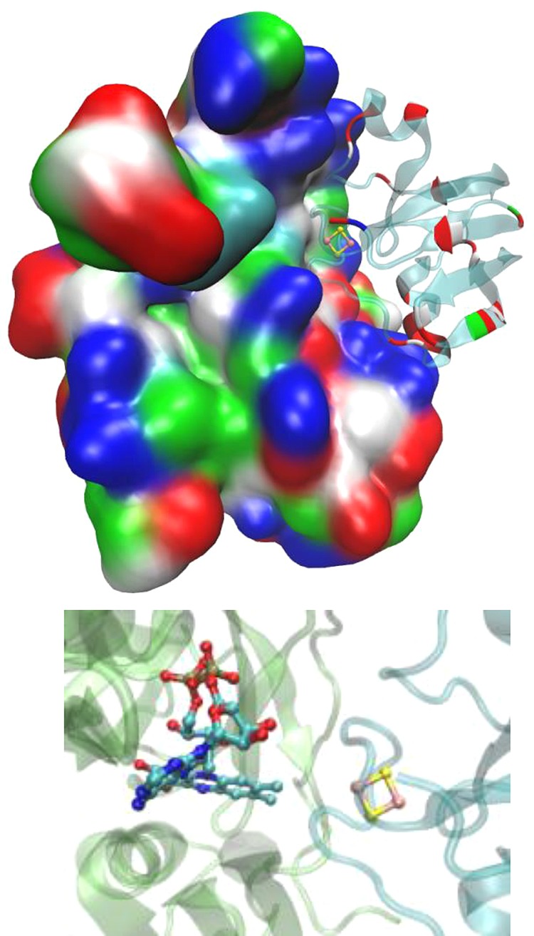 Figure 19