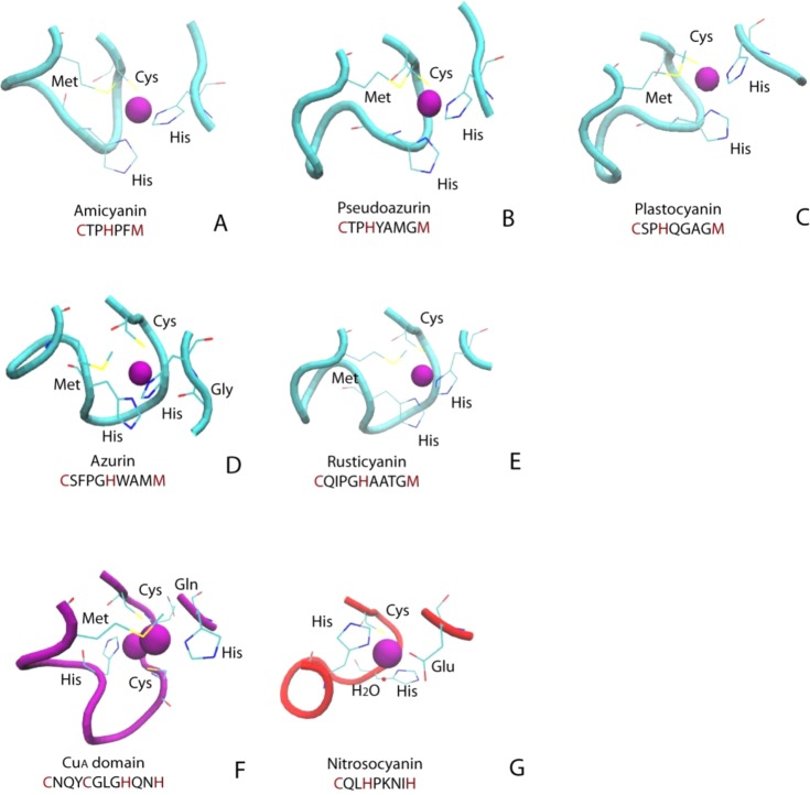 Figure 59