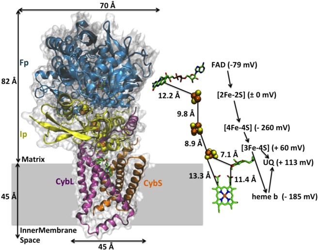 Figure 44