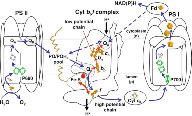 Figure 68