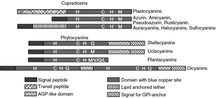 Figure 45