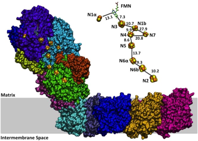 Figure 43