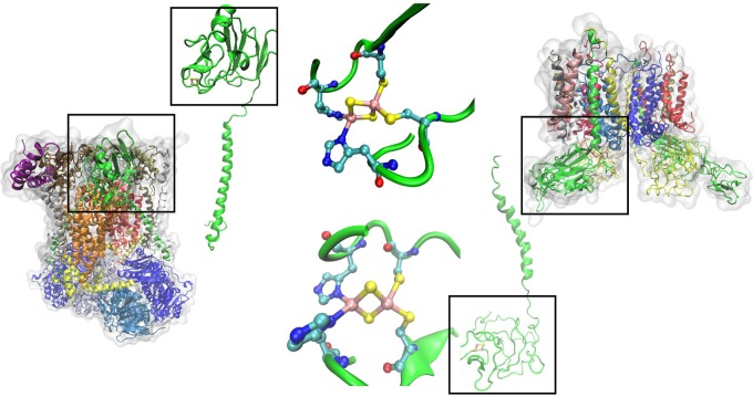 Figure 29