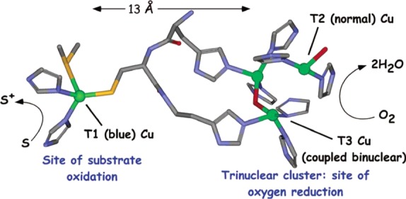 Figure 53