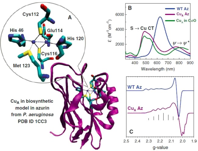 Figure 61