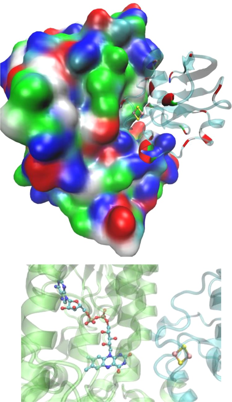 Figure 21