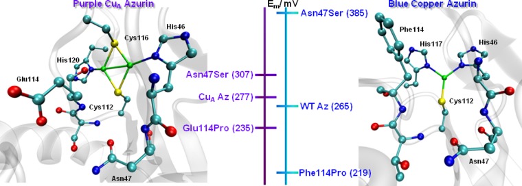 Figure 62