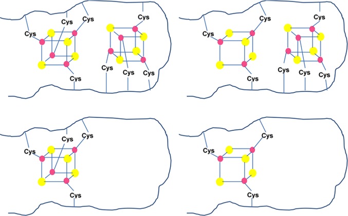 Figure 25