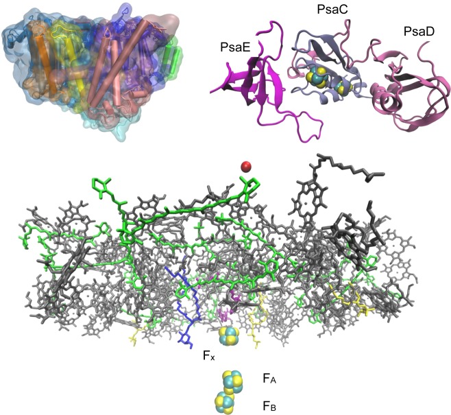 Figure 20