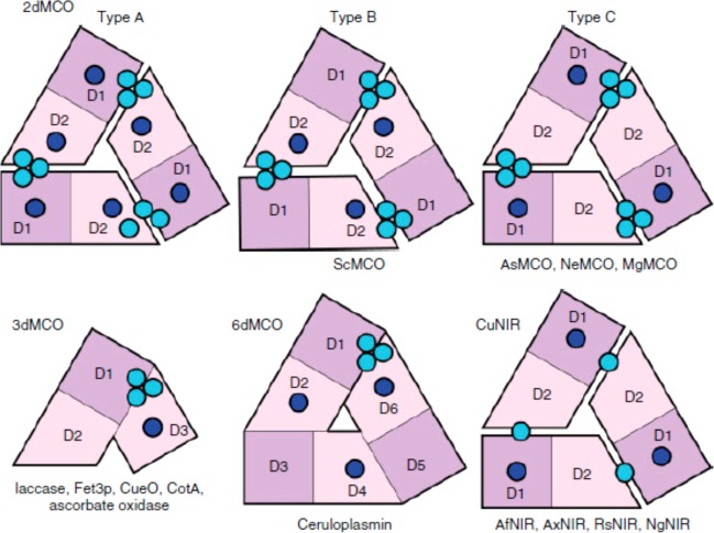 Figure 52