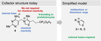 Figure 15