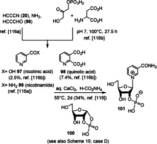 Scheme 23