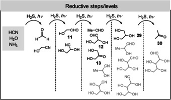 Scheme 8