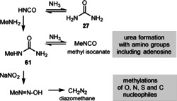 Scheme 16