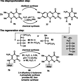 Scheme 19