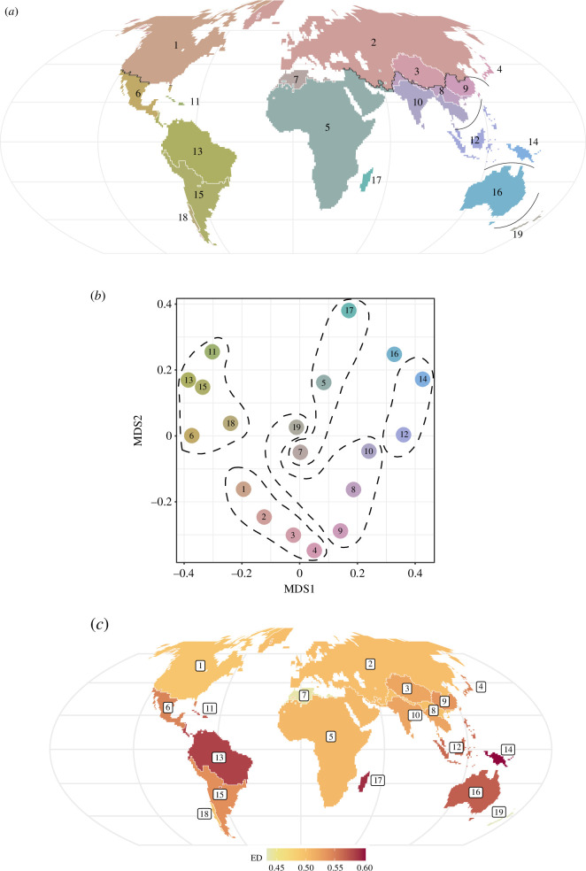 A global phylogenetic regionalization of butterfly species (n = 10 372 species)