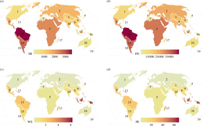 Diversity and endemism in the 19 major regions of butterflies around the world