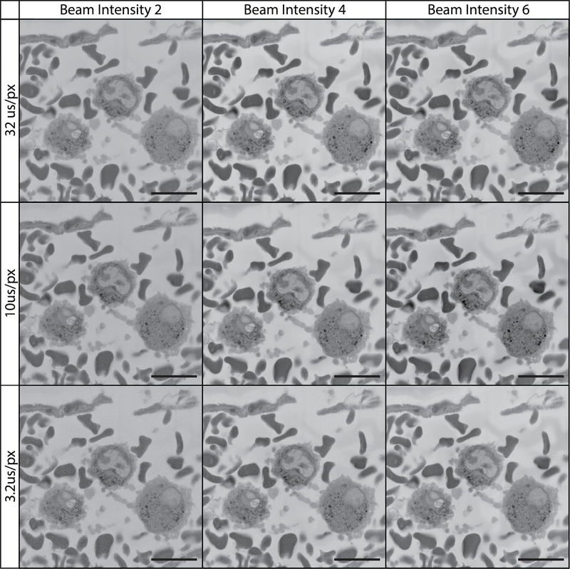 Figure 13: