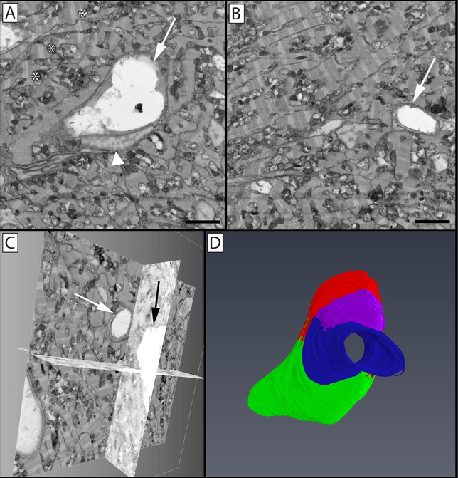 Figure 9: