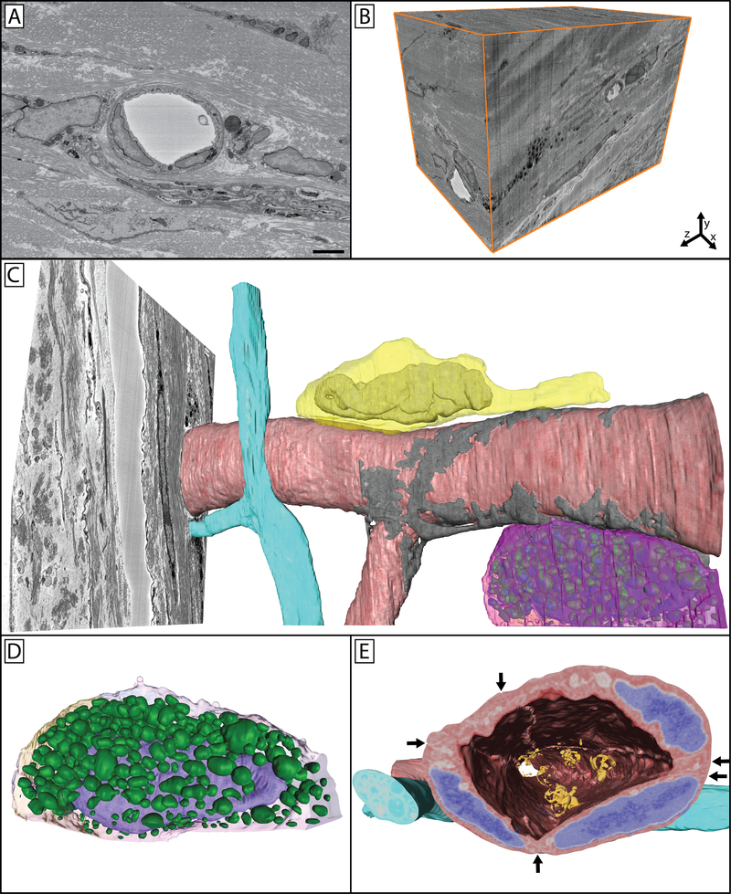 Figure 7: