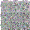 Figure 12: