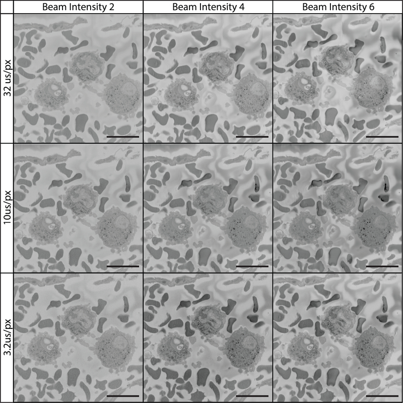 Figure 12: