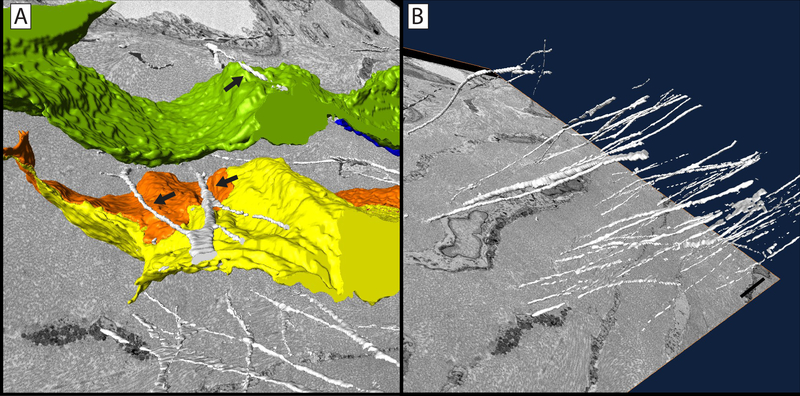 Figure 5: