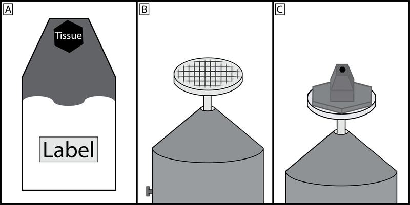 Figure 2: