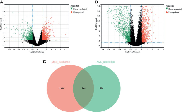 Figure 2