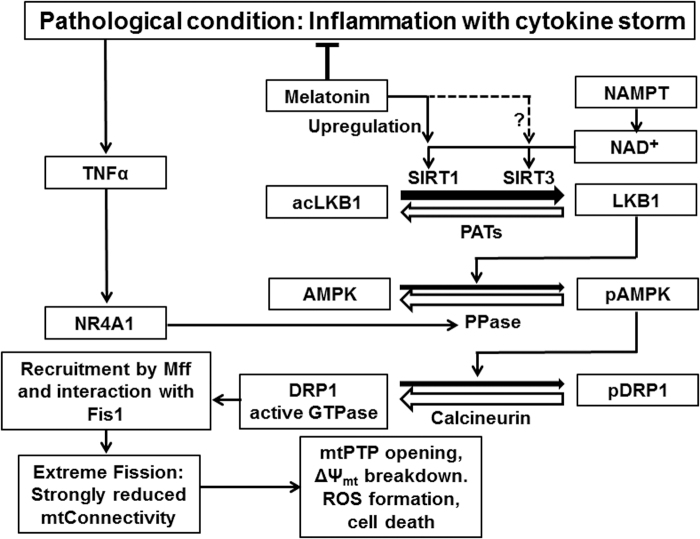 FIG. 6.