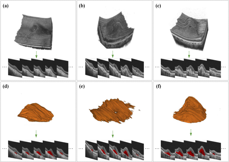 Fig. 6.