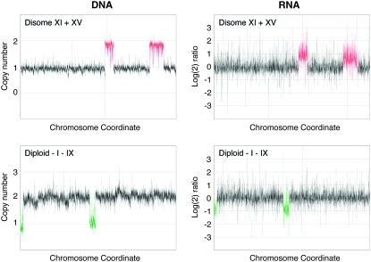 Figure 3.—