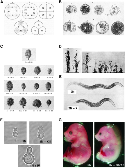 Figure 1.—