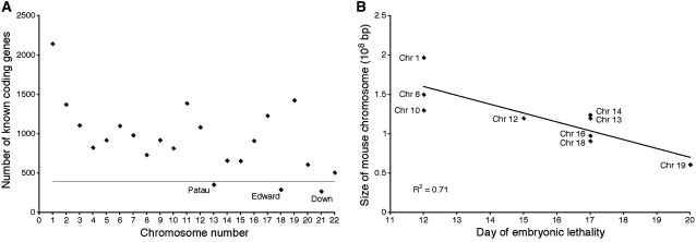 Figure 2.—