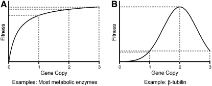 Figure 4.—