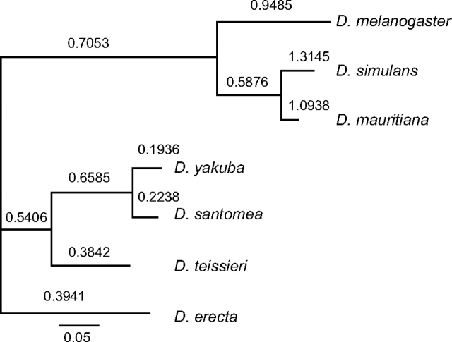 FIG. 3.—