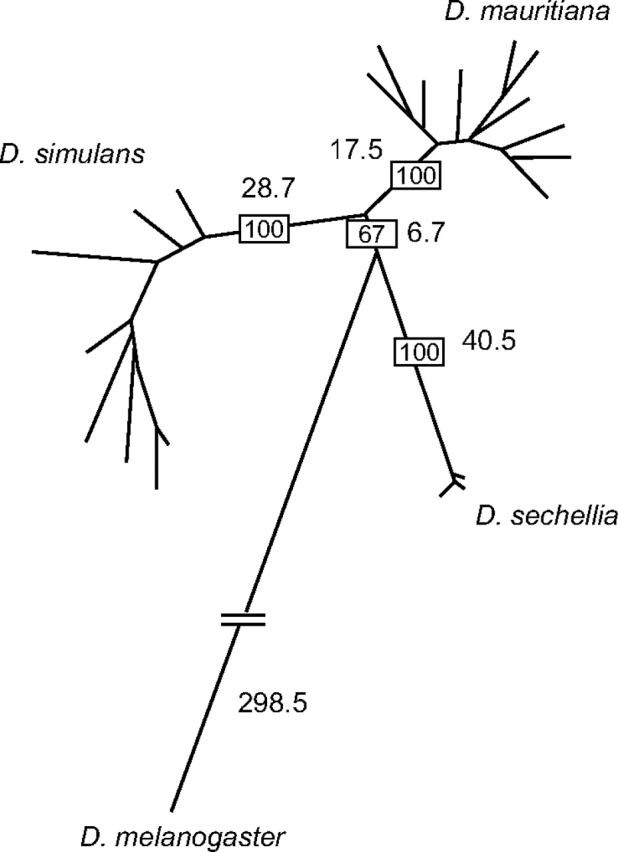 FIG. 2.—