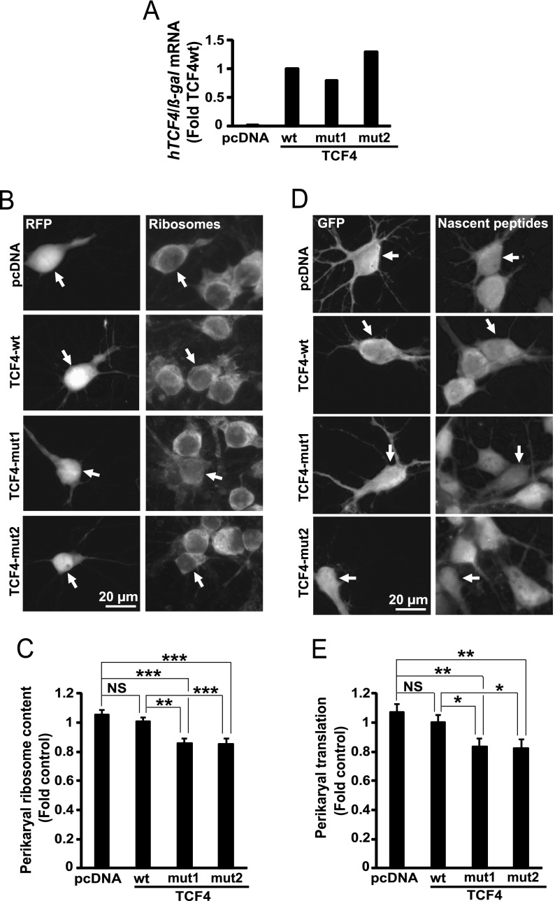 Fig. 10.