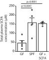 Figure 2—figure supplement 1.