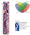 Figure 5—figure supplement 1.