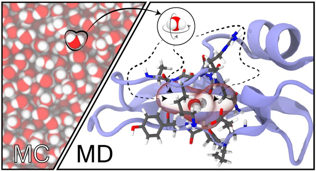 graphic file with name nihms-1852044-f0001.jpg