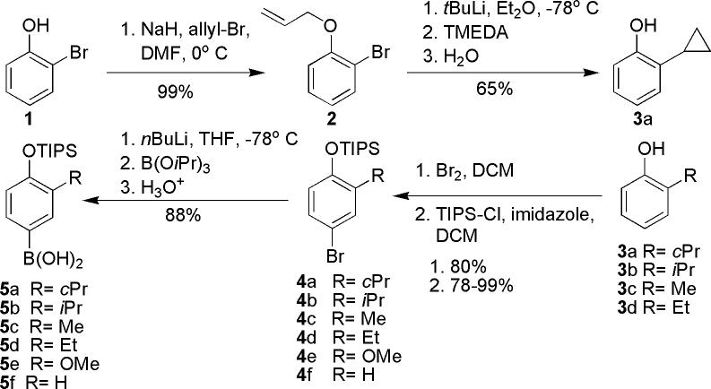 Scheme 1