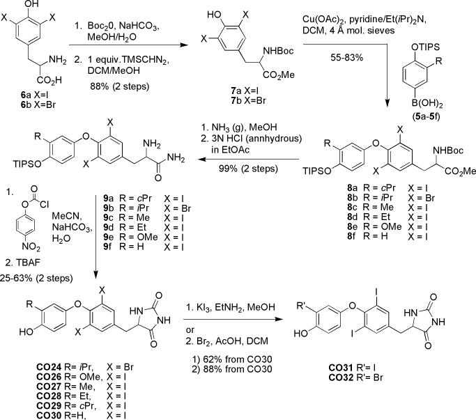 Scheme 2