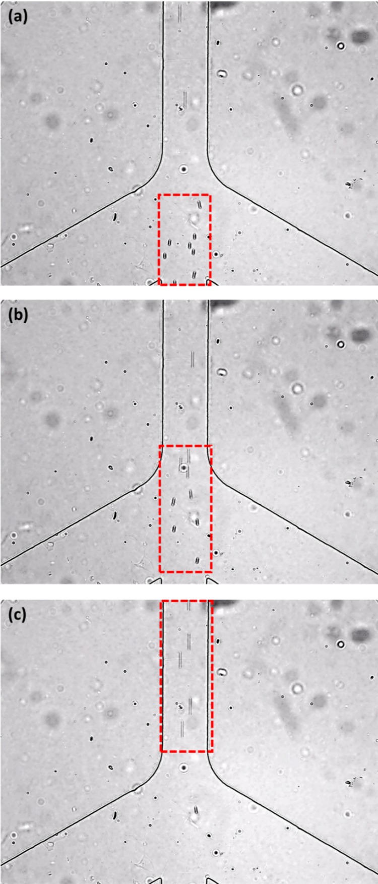 FIG. 8.
